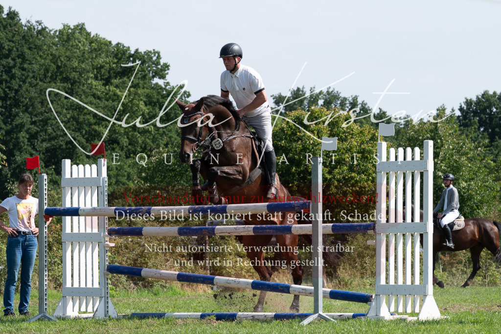 DSC_0842 | Pferde- und Turnierfotografie in Westsachsen. Pferdeportraits, Auftragszeichnungen und intuitive Kunst.
