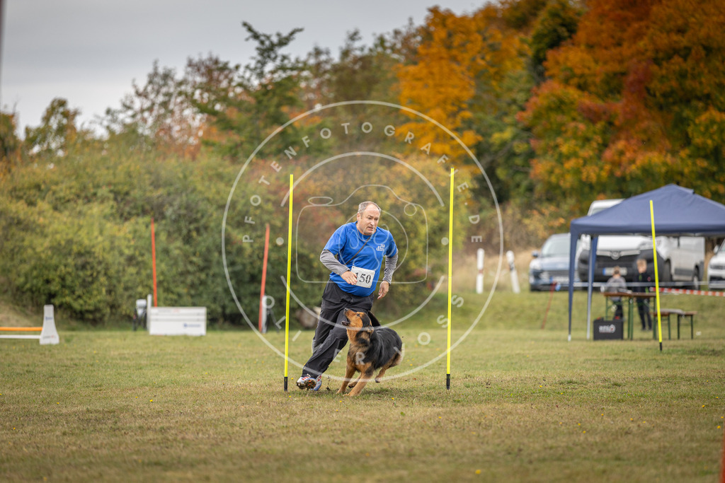 Pfotenfotografie_DV3A6473 | Hundefotografie, Tierfotograf, Pfotenfotografie, Fotoshooting Hund, Hunde Portrait, Hundesport, Hundeportraits, Heideshooting, Hunde, Sportfotograf, Hundefotograf, Turnierhundsport, THS,  - Realisiert mit Pictrs.com