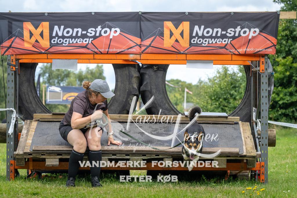 1234_ZZ94108 | kk-dogfotos