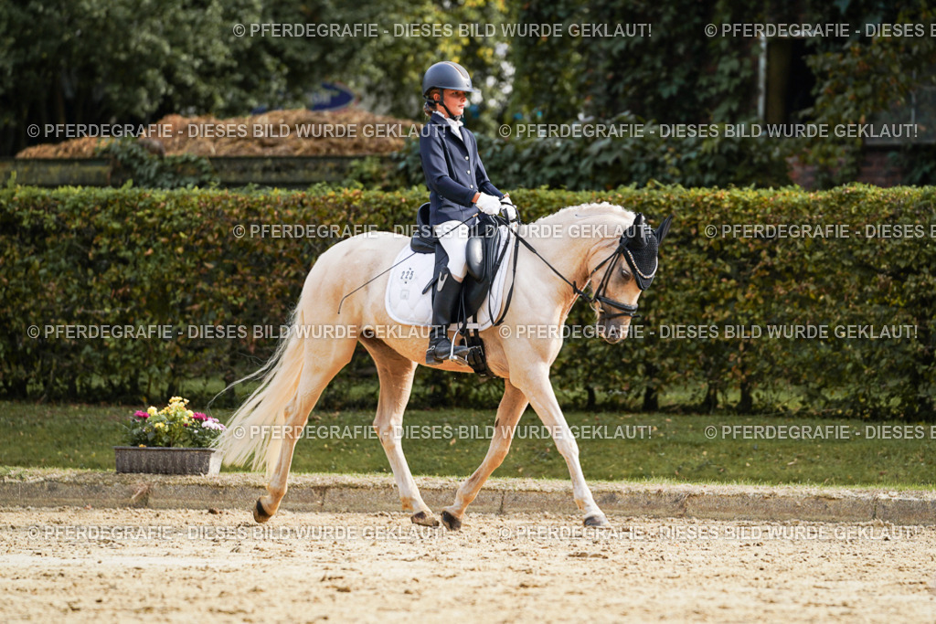 DSC04774 | Pferdegrafie