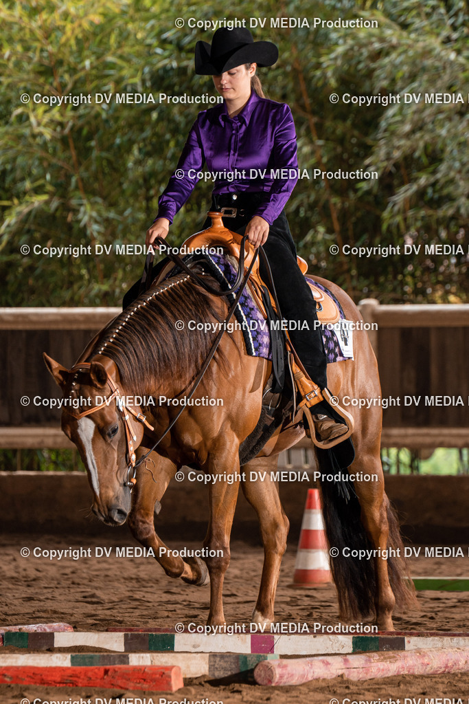 Erbach Tag 3-278 | dv-media-shop - Realisiert mit Pictrs.com