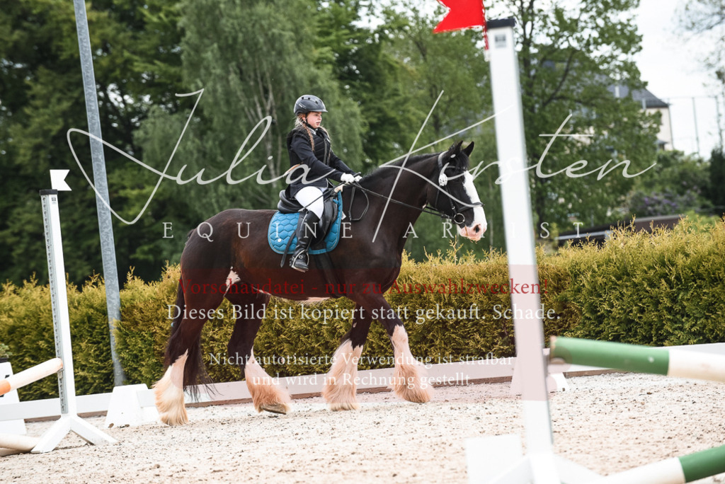 20230518_JK-Röhrsdorf-10-362 | Pferde- und Turnierfotografie in Westsachsen. Pferdeportraits, Auftragszeichnungen und intuitive Kunst.