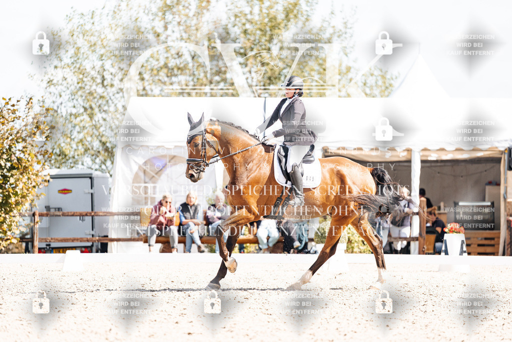 CK903220 | Turnierfotografie Pferdefotografie Trier Rheinland-Pfalz Pferdesport Reitsport Tierfotografie Sportfotografie Pferdevideo Pferdevideografie Equestrianvideography equestrianphotography  - Realisiert mit Pictrs.com