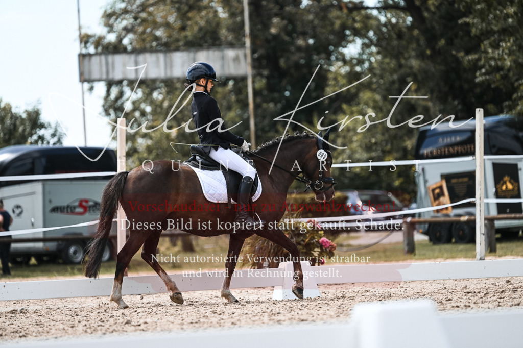 DSC_5684 | Pferde- und Turnierfotografie in Westsachsen. Pferdeportraits, Auftragszeichnungen und intuitive Kunst.