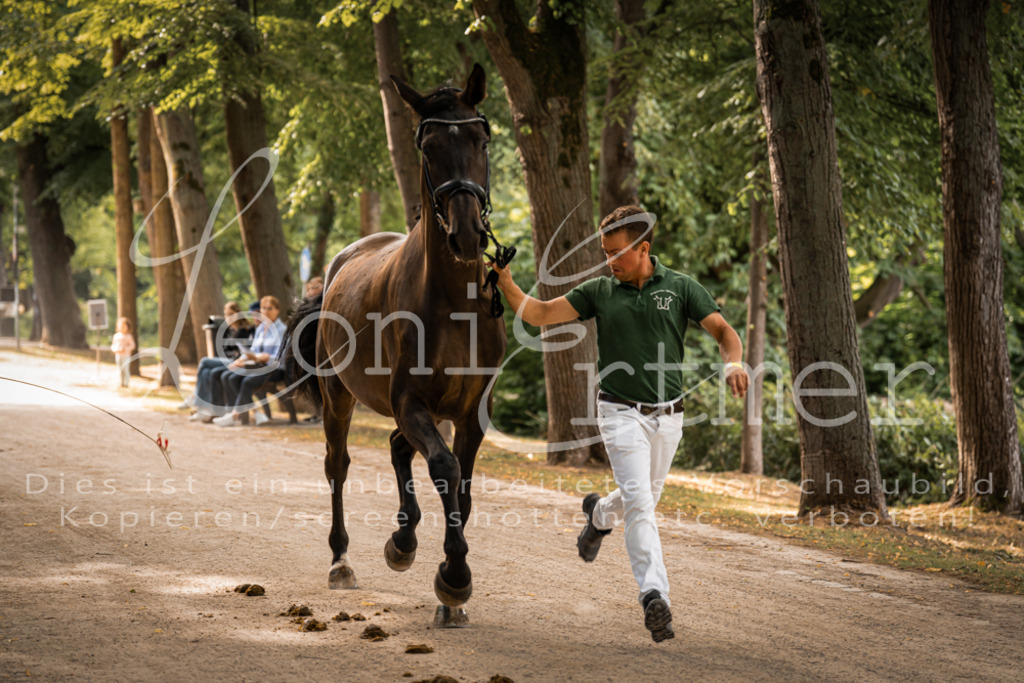 FrPfM00037 | Leoni Ertmer Photography - Realisiert mit Pictrs.com