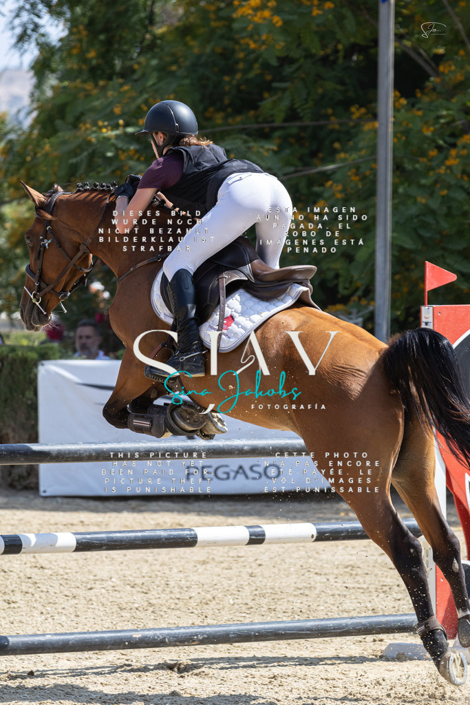 IMG_3499 | s-jay-photography - Realisiert mit Pictrs.com