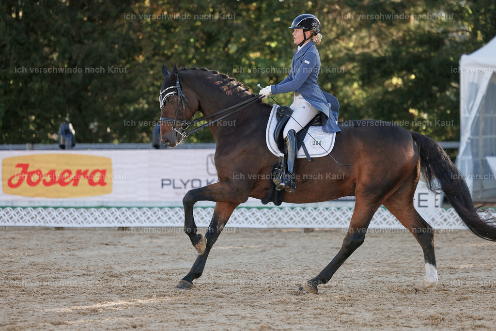09_1-200-DRESSUR  S_  -StoibPH-5535 | working equitationturnier fotograf videograf stoibphotography marixx film working equitation deutschland reitsport turnierfotografie eventfotografie equestrian events