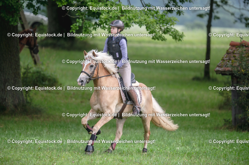 20250726_Vielseitigkeitslehrgang-Marbach_0179 | Foto: Thomas Hartig