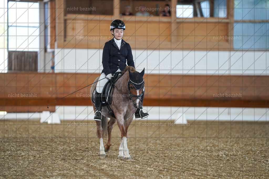 20240824-FAH06997 | Thierhaupten 2024, Bayerisches Landesponyturnier, Turnierbilder, Ponybilder, Turnierfotografen Bayern, Fotoagentur Herrmann