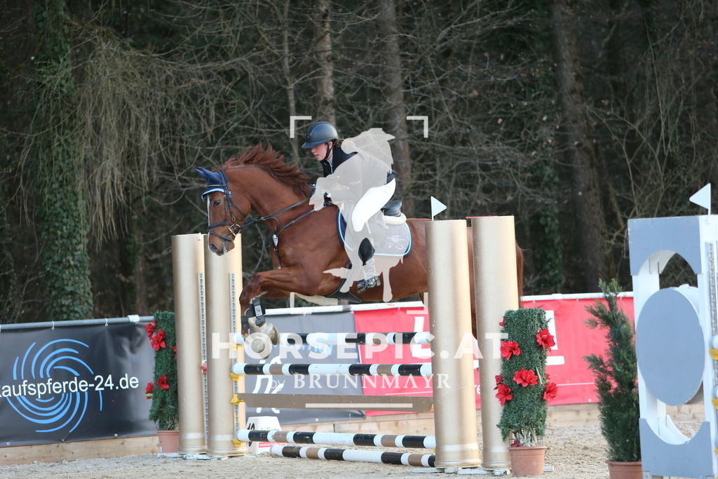 DL2Q4753 | Willkommen bei Brunnmayr - Design & Fotografie – Ihrem Spezialisten für Reitturniere und Pferdeveranstaltungen in Oberösterreich, Salzburg und Bayern! Seit über 17 Jahren sind wir leidenschaftlich dabei.