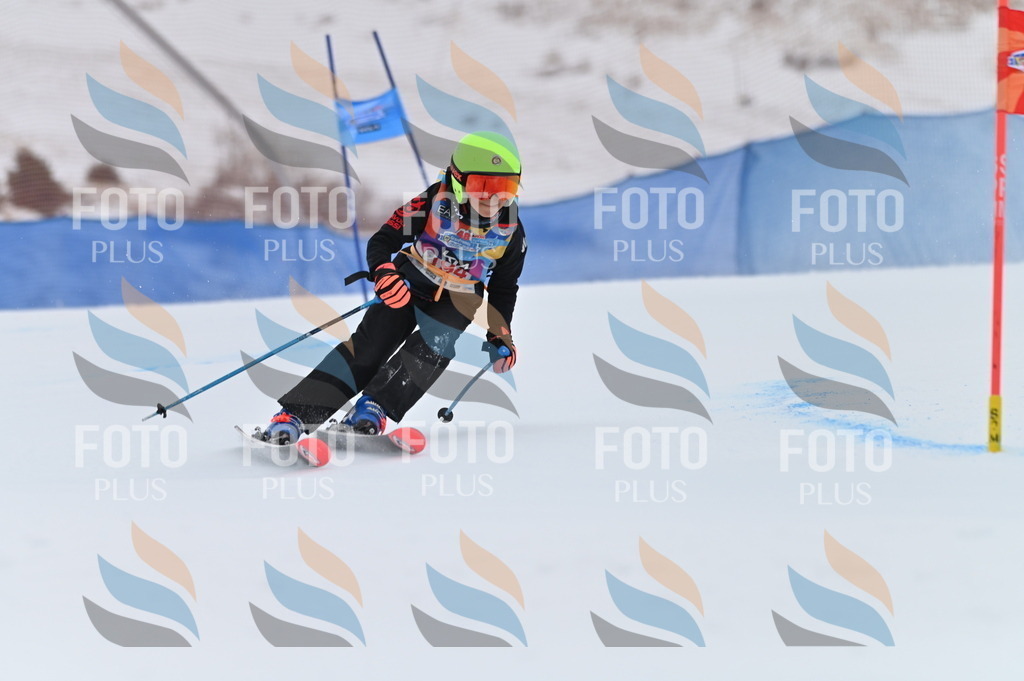 BGV_1630 | holidayphoto