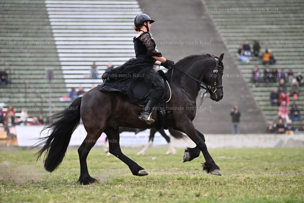 PI26_Show_Sara_Landvogt_226_1278.JPG | working equitationturnier fotograf videograf stoibphotography marixx film working equitation deutschland reitsport turnierfotografie eventfotografie equestrian events