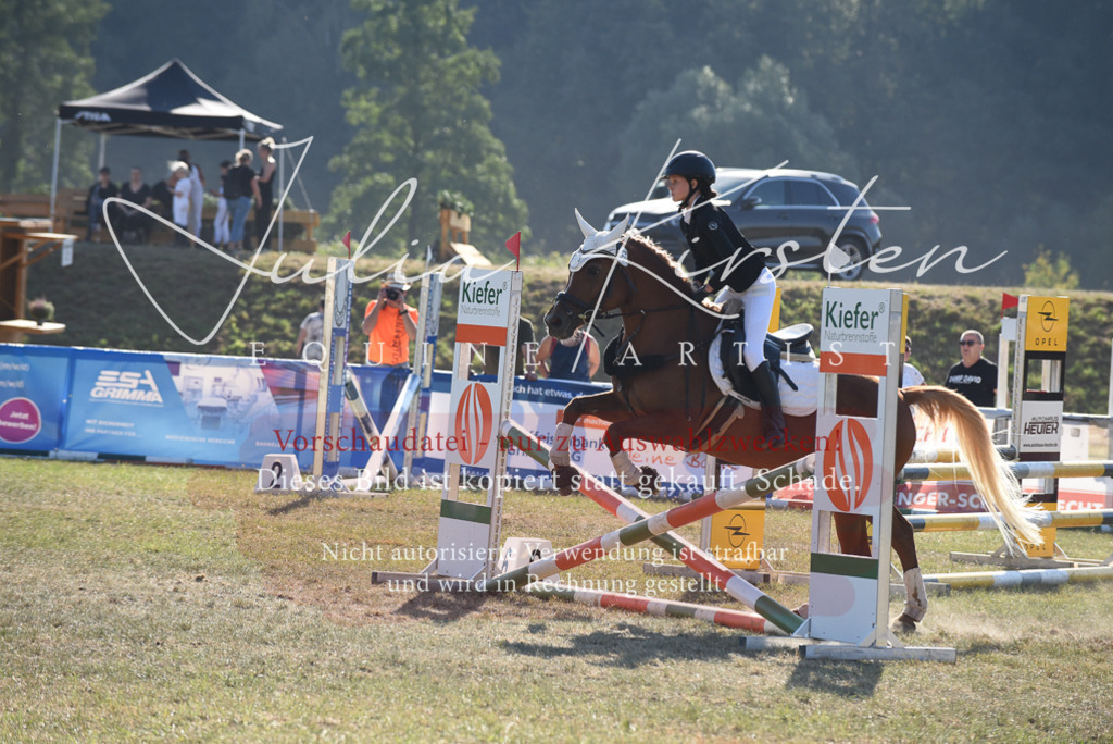 DSC_5832 | Pferde- und Turnierfotografie in Westsachsen. Pferdeportraits, Auftragszeichnungen und intuitive Kunst.