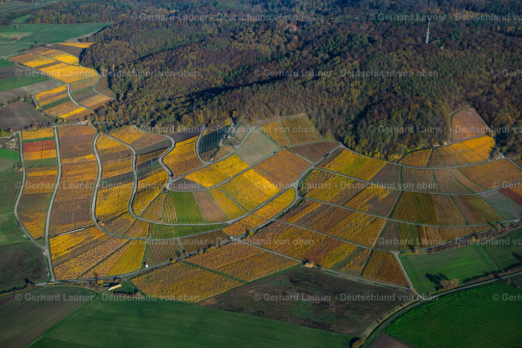 4042635 | Weinberge bei Abtswind, Weinlage Altenberg