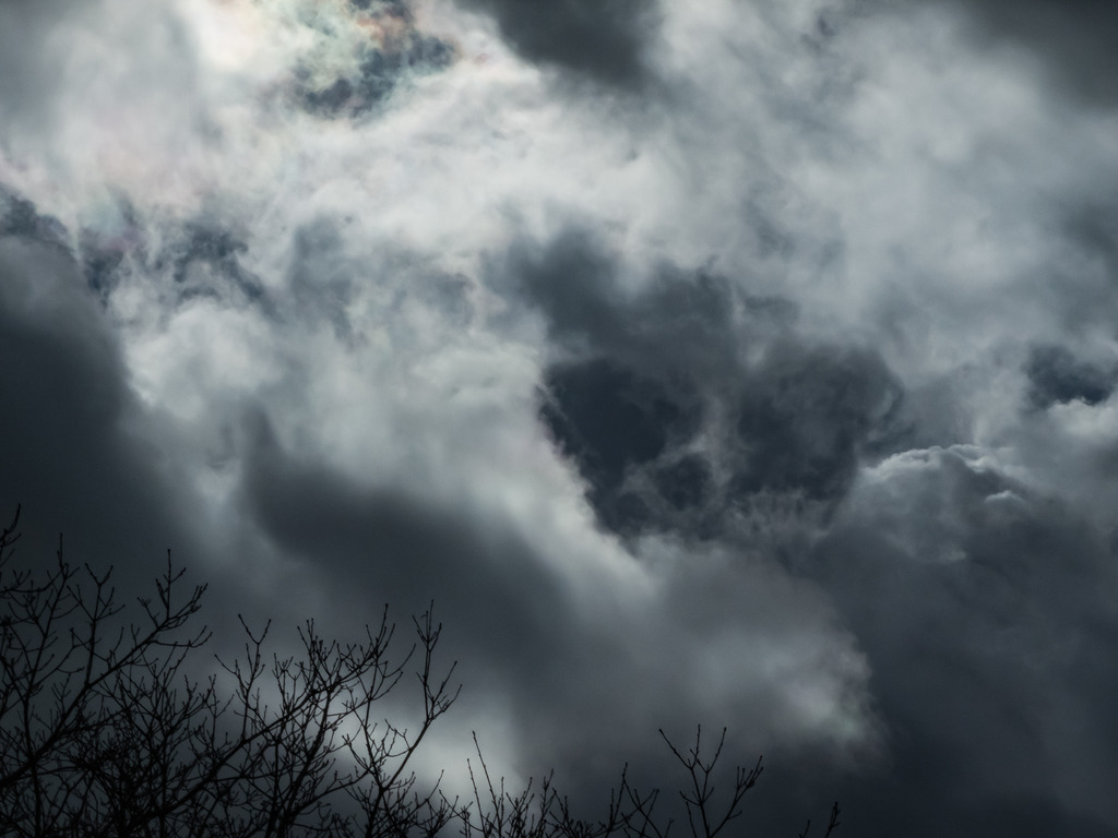 PSX_20230309_230707 | mtkfoto_ - Realisiert mit Pictrs.com