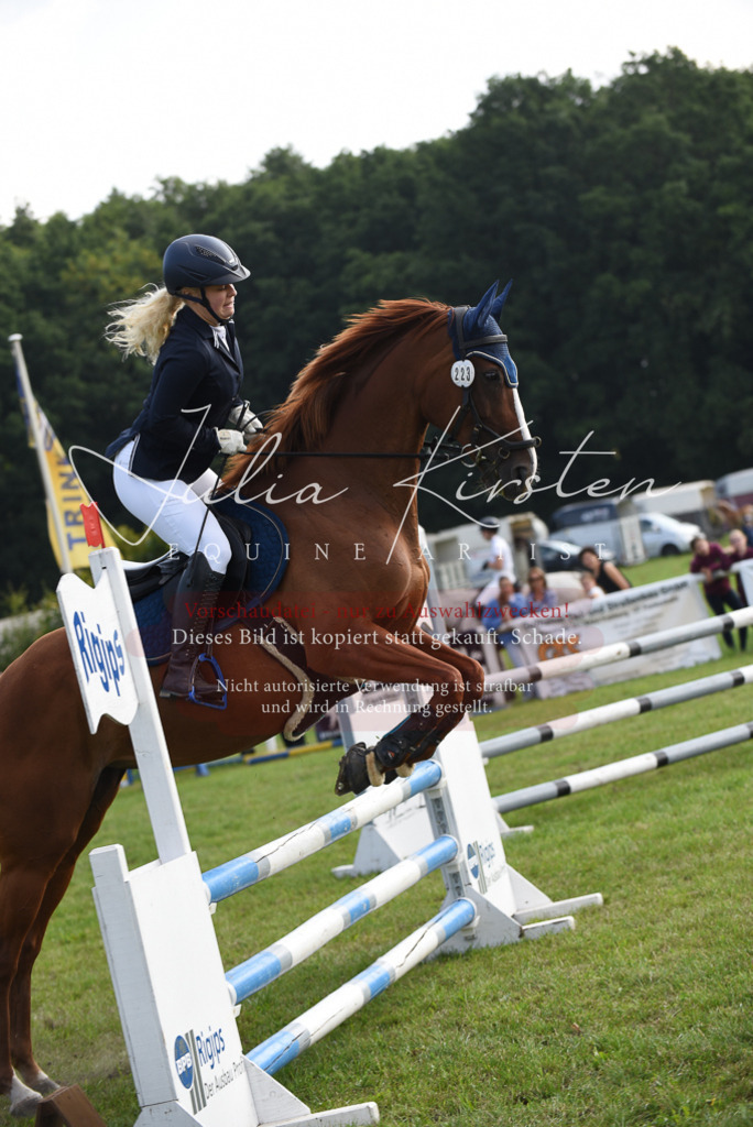 DSC_8844 | Pferde- und Turnierfotografie in Westsachsen. Pferdeportraits, Auftragszeichnungen und intuitive Kunst.