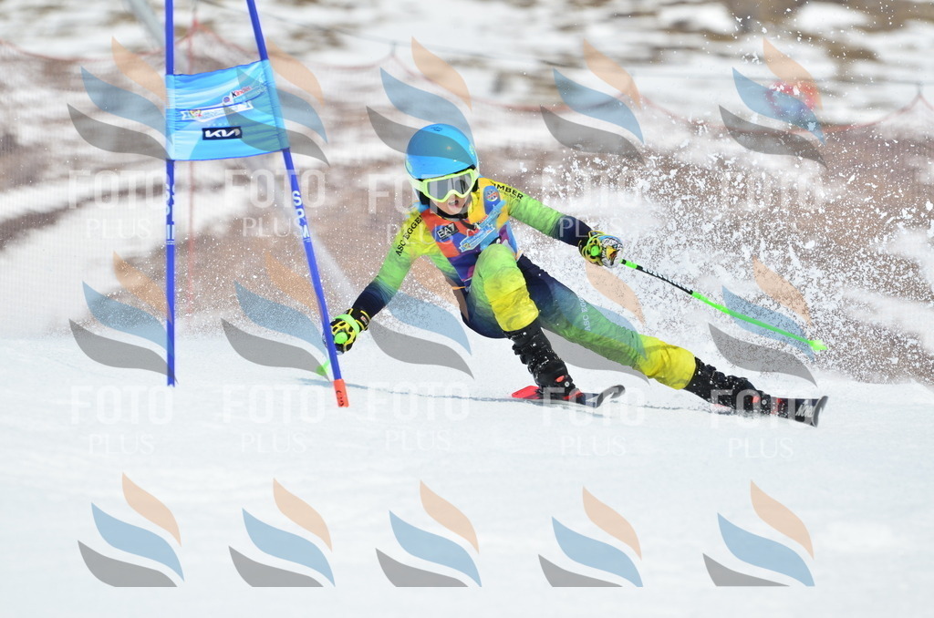 _ELE2223 | holidayphoto