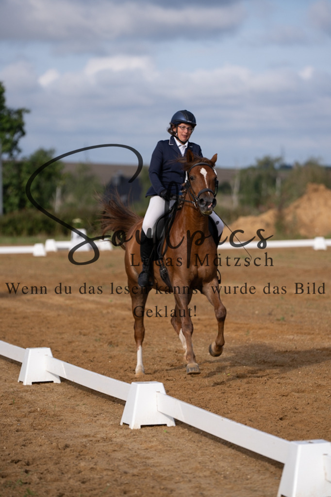 A7V03748 | Turnier/Reitfotograf