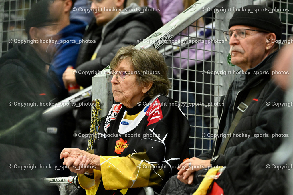 EC IDM WÄRMEPUMPEN VSV vs. Vienna Capitals | Älteste Vienna Capitals Fans, EC IDM WÄRMEPUMPEN VSV vs. Vienna Capitals, EC IDM WÄRMEPUMPEN VSV vs. Vienna Capitals am 16.11.2025 in Villach (Stadthalle Villach), Austria, (Photo by Bernd Stefan)