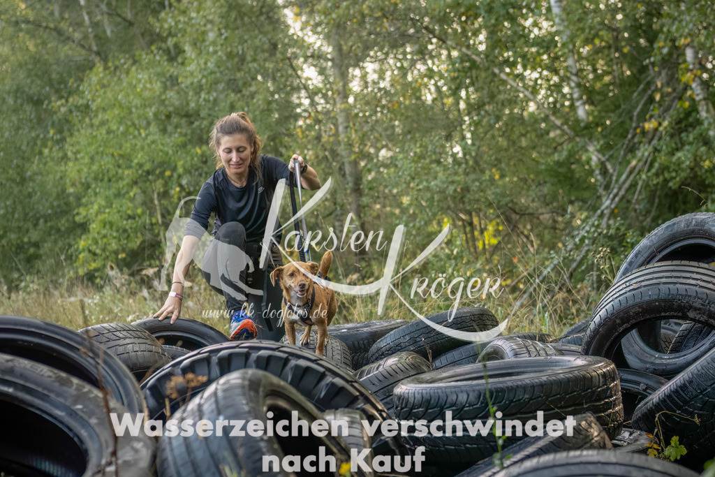 1005_ZZ93516-Bearbeitet | kk-dogfotos