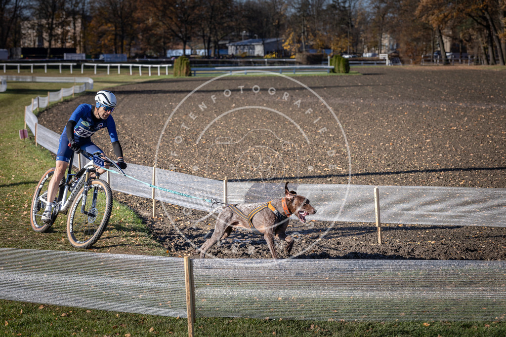 CaniXpix_DV3A5305 | Hundefotografie, Tierfotograf, Pfotenfotografie, Fotoshooting Hund, Hunde Portrait, Hundesport, Hundeportraits, Heideshooting, Hunde, Sportfotograf, Hundefotograf, Turnierhundsport, THS,  - Realisiert mit Pictrs.com