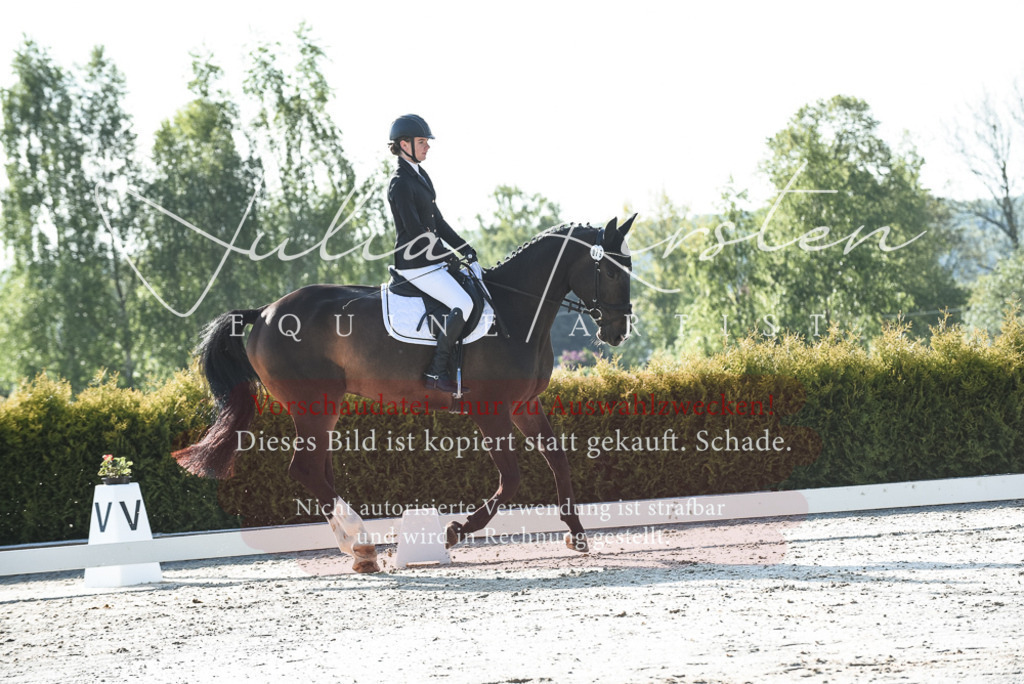 20230518_JK-Röhrsdorf-09-0576 | Pferde- und Turnierfotografie in Westsachsen. Pferdeportraits, Auftragszeichnungen und intuitive Kunst.
