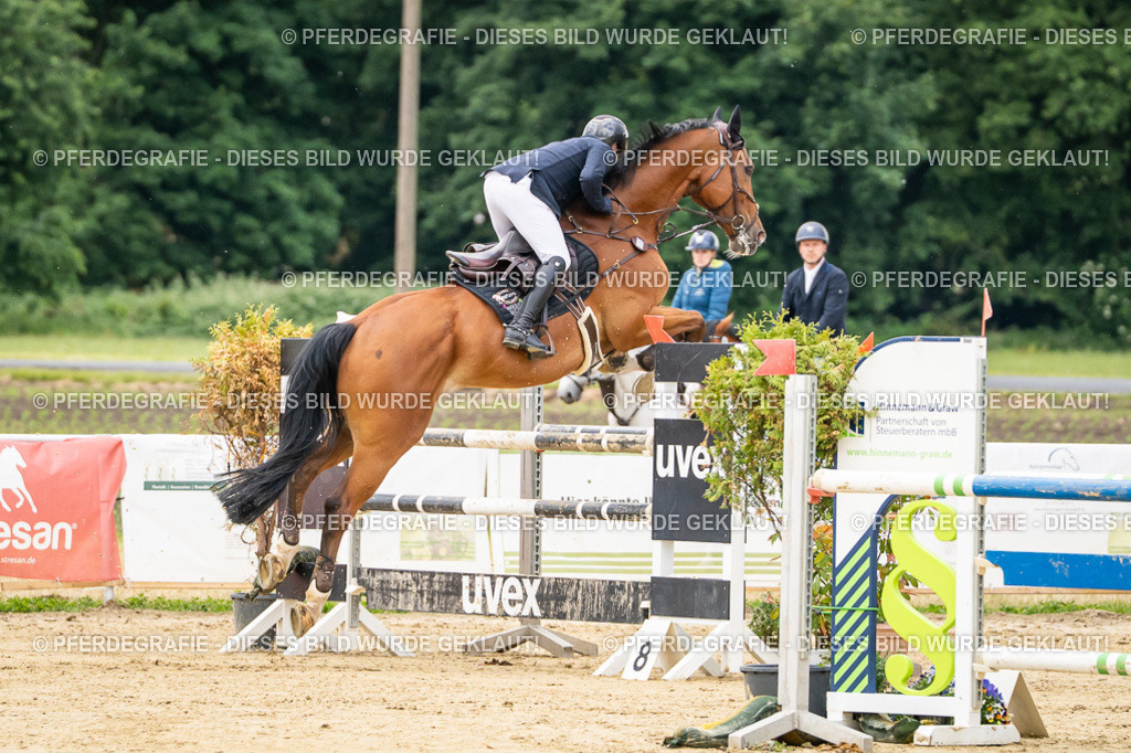 DSC06060 | Pferdegrafie