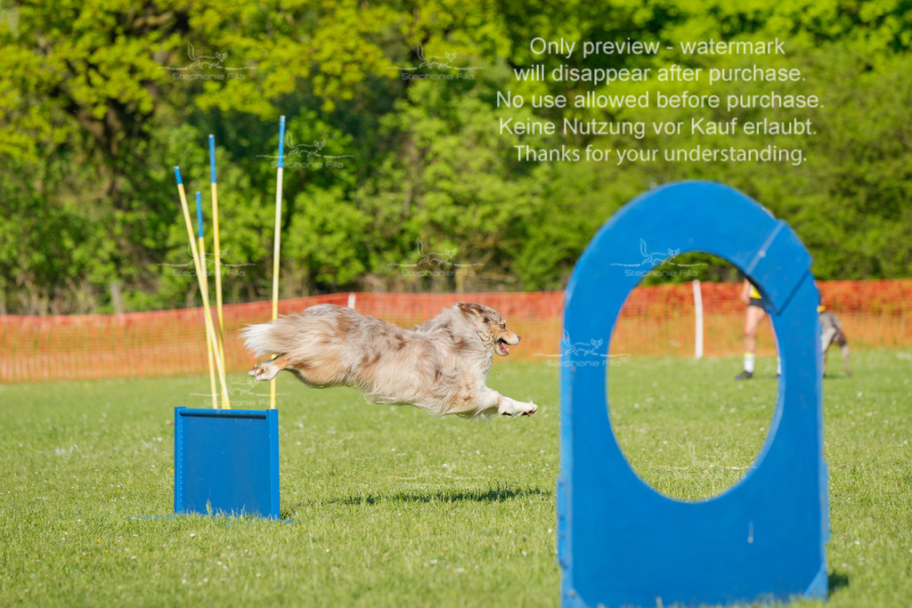 Sa_CSC-535 | stephaniefillaphotographie - Realisiert mit Pictrs.com