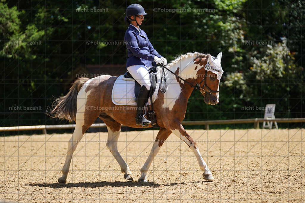 20240705-FAH04185 | Turnierbilder von Grafing, Reitsportbilder, Turnierfotos, Turnierfotografen Bayern, Pferdefotograf, Fotoagentur Herrmann
