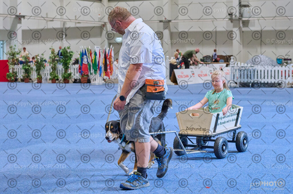 202406_ÖKV-IHA-Tulln24_DSC_4685 | proPHOTO - Realisiert mit Pictrs.com