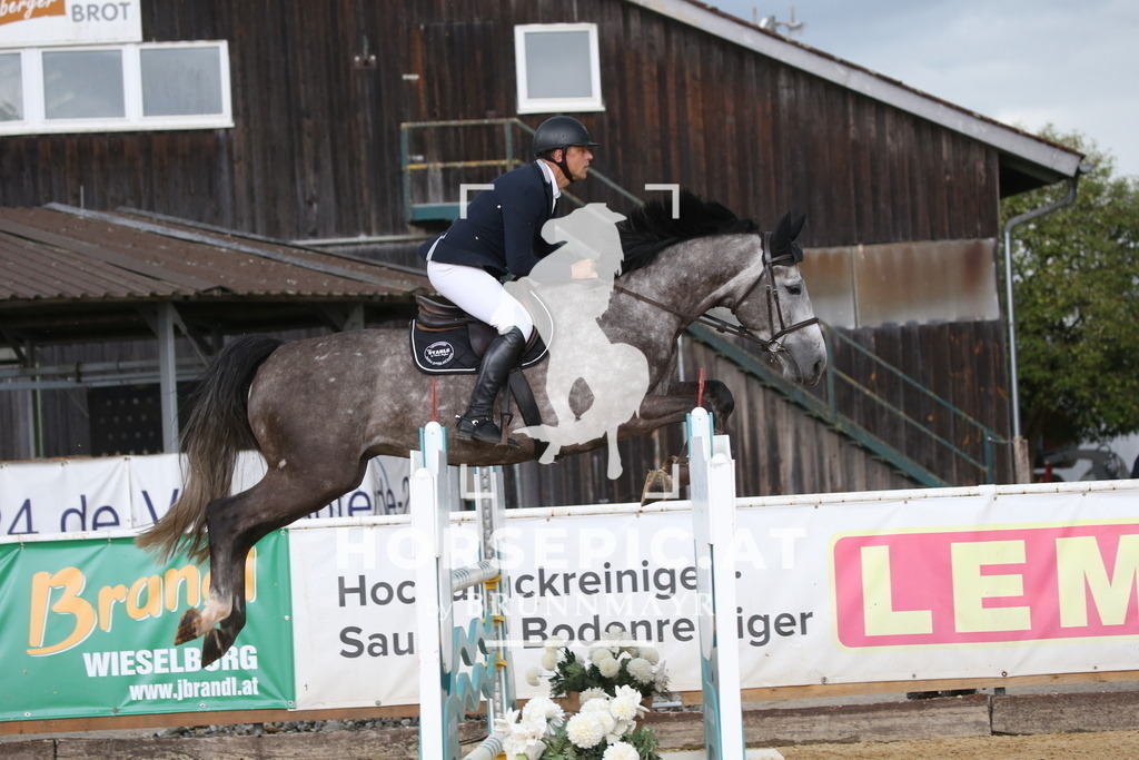 DL2Q2181 | Willkommen bei Brunnmayr - Design & Fotografie – Ihrem Spezialisten für Reitturniere und Pferdeveranstaltungen in Oberösterreich, Salzburg und Bayern! Seit über 17 Jahren sind wir leidenschaftlich dabei.