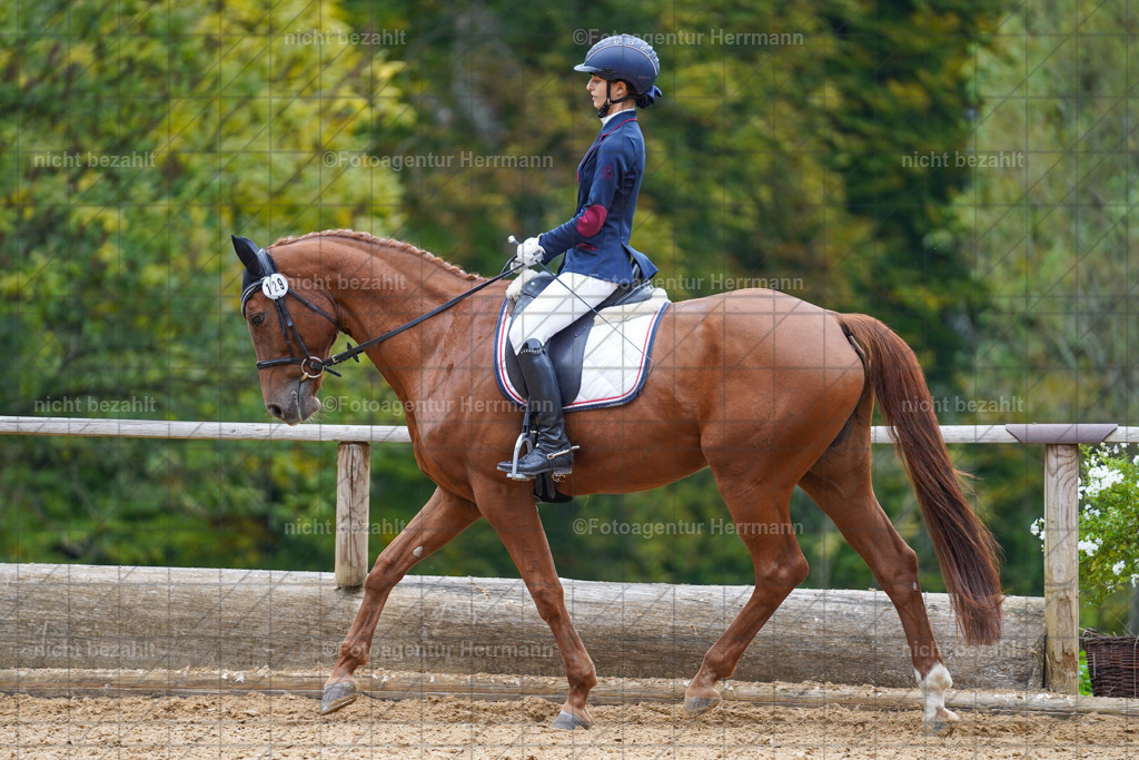 20221008-FAH01658 | Diessen am Ammersee, 2022, Dressur- und Springturnier, Reitsportbilder, Turnierfotografen Bayern, Pferdefotografen, Fotoagentur Herrmann, Turnierbilder