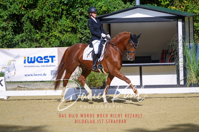 DKP40854 | Turniersportfotografie; Pferdefotografie; Dressurfotografie