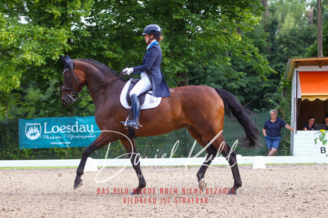 DKP41404 | Turniersportfotografie; Pferdefotografie; Dressurfotografie