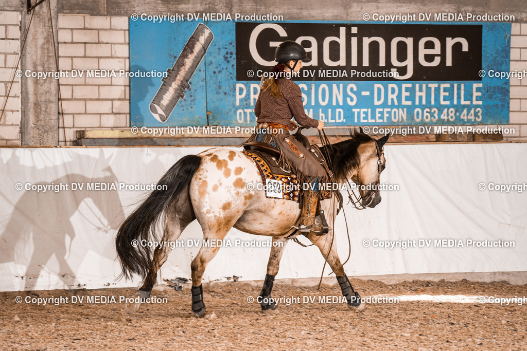 ZH200483 | dv-media-shop - Realisiert mit Pictrs.com