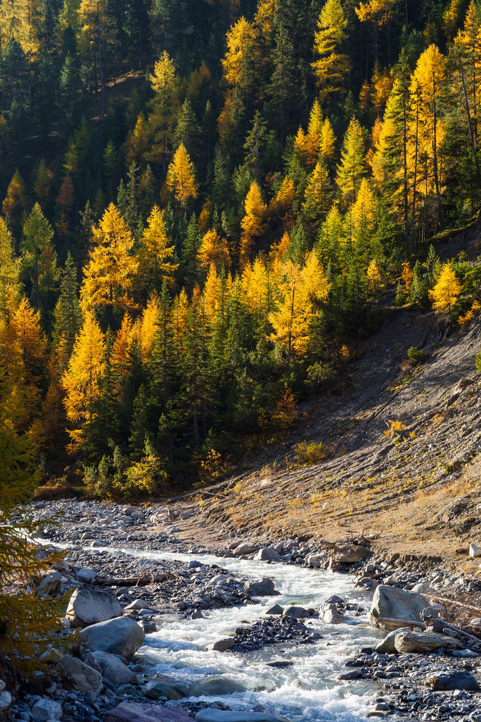 Fall in Engadina | a prestine valley in the Swiss National Park. Engadin Bilder - Realisiert mit Pictrs.com