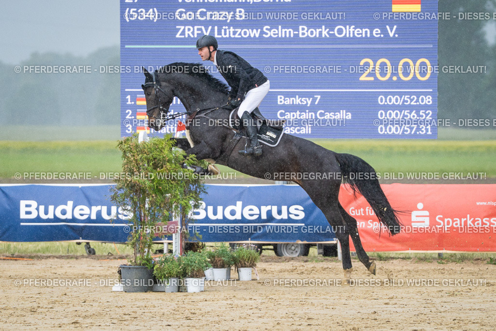 DSC04121 | Pferdegrafie