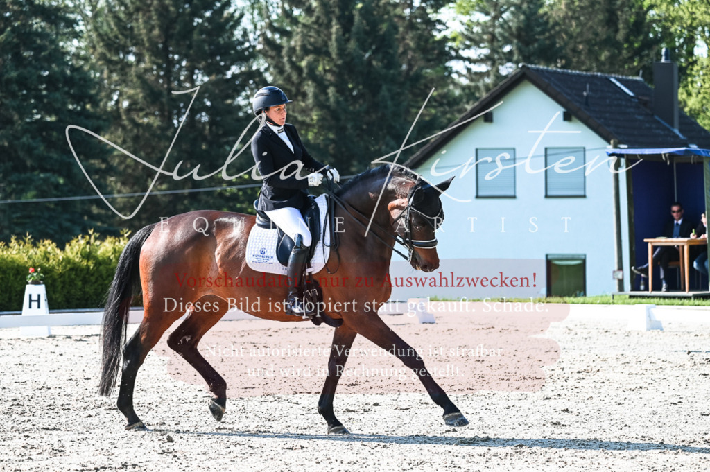 20230514_JK-Röhrsdorf-18-103 | Pferde- und Turnierfotografie in Westsachsen. Pferdeportraits, Auftragszeichnungen und intuitive Kunst.
