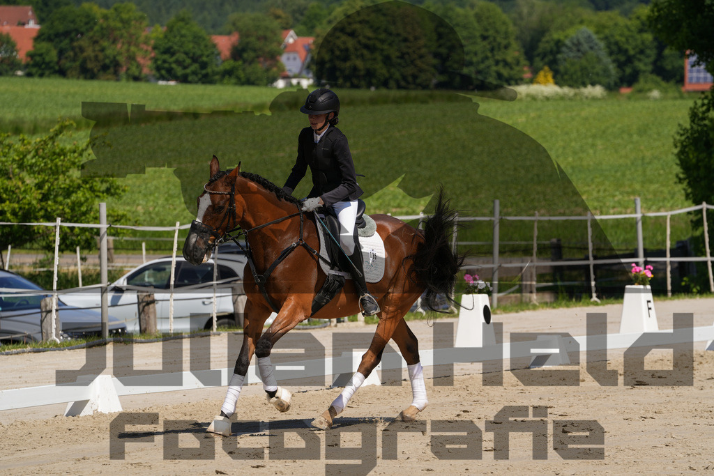 DSC03213 | Julian Held Fotografie - Realisiert mit Pictrs.com