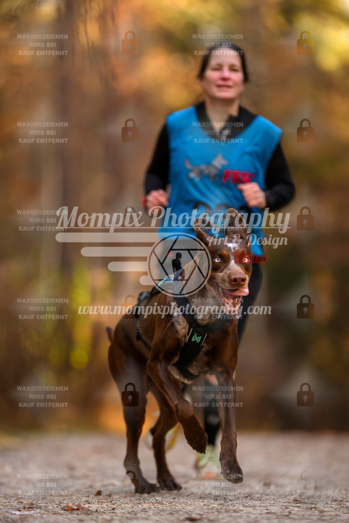 MompixPhotography_DM_AKDM_SO_2025_-65 | PayLife