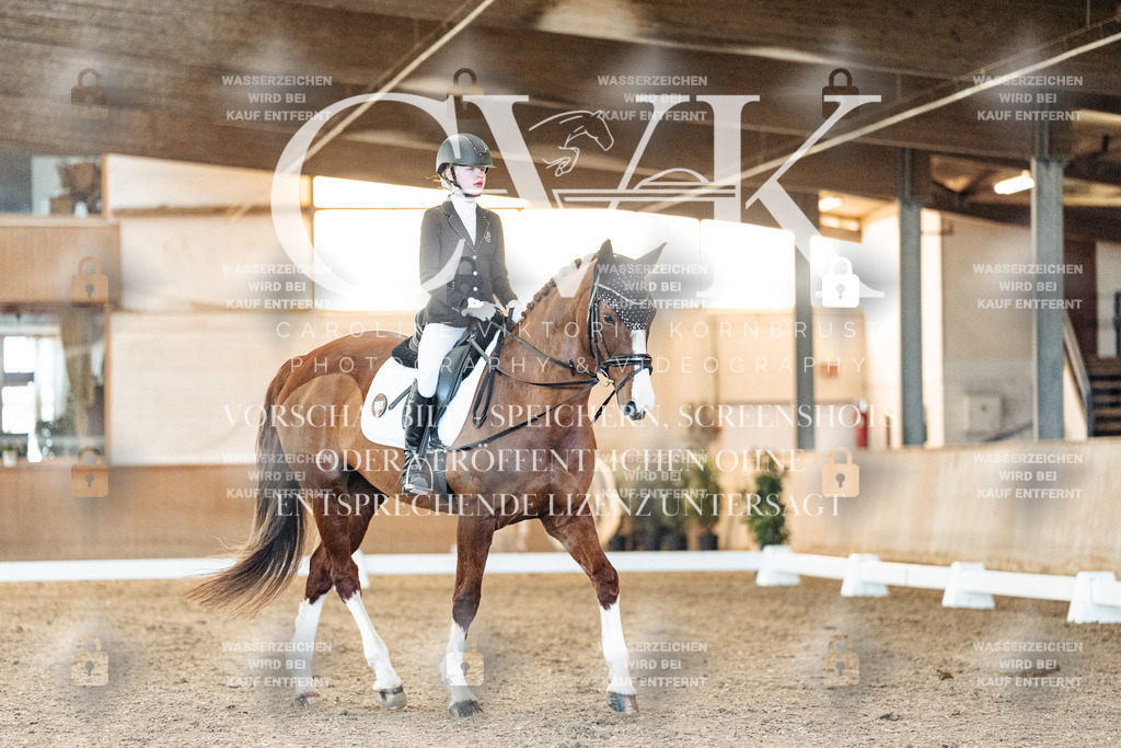 CK906678 | Turnierfotografie Pferdefotografie Trier Rheinland-Pfalz Pferdesport Reitsport Tierfotografie Sportfotografie Pferdevideo Pferdevideografie Equestrianvideography equestrianphotography  - Realisiert mit Pictrs.com
