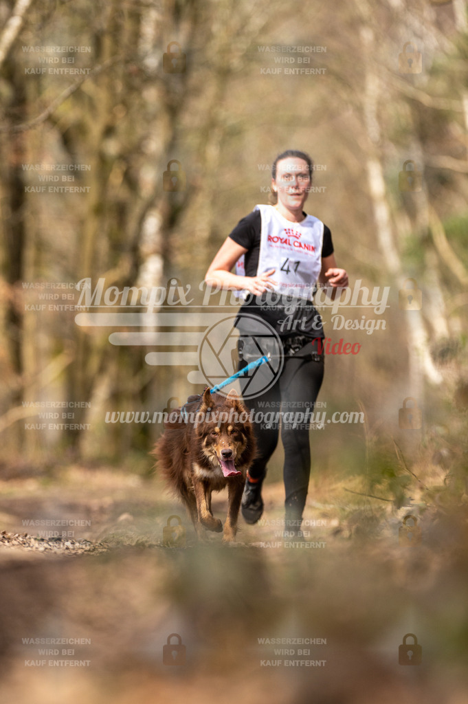 SPA_2023_SAM_CCL-119 | PayLife