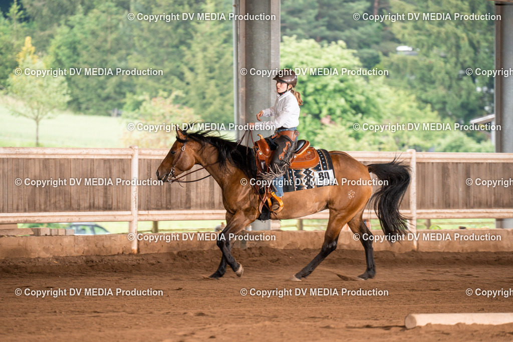 Erbach Tag 4-747 | dv-media-shop - Realisiert mit Pictrs.com