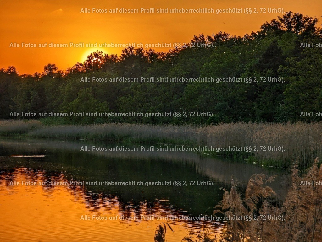 PXL_20230525_184332625-01 | krollfotografie - Realisiert mit Pictrs.com