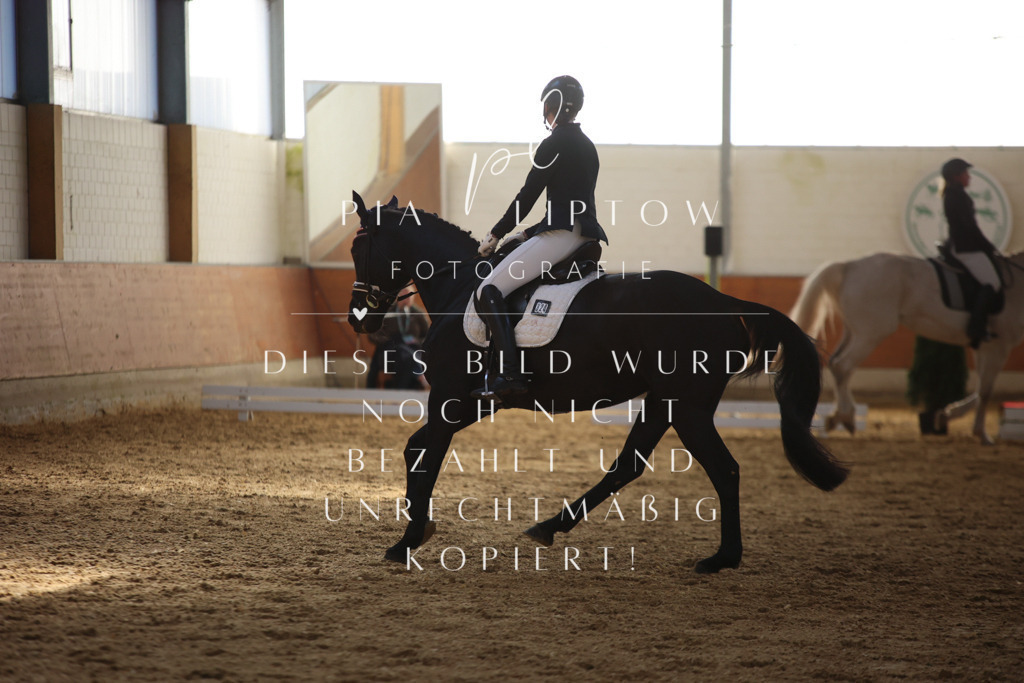 IMGT6540 | pl-fotografie