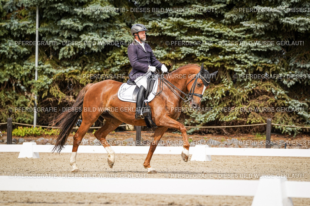 DSC05703 | Pferdegrafie