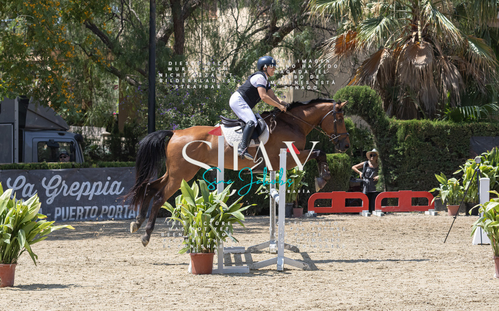 IMG_0549 | s-jay-photography - Realisiert mit Pictrs.com