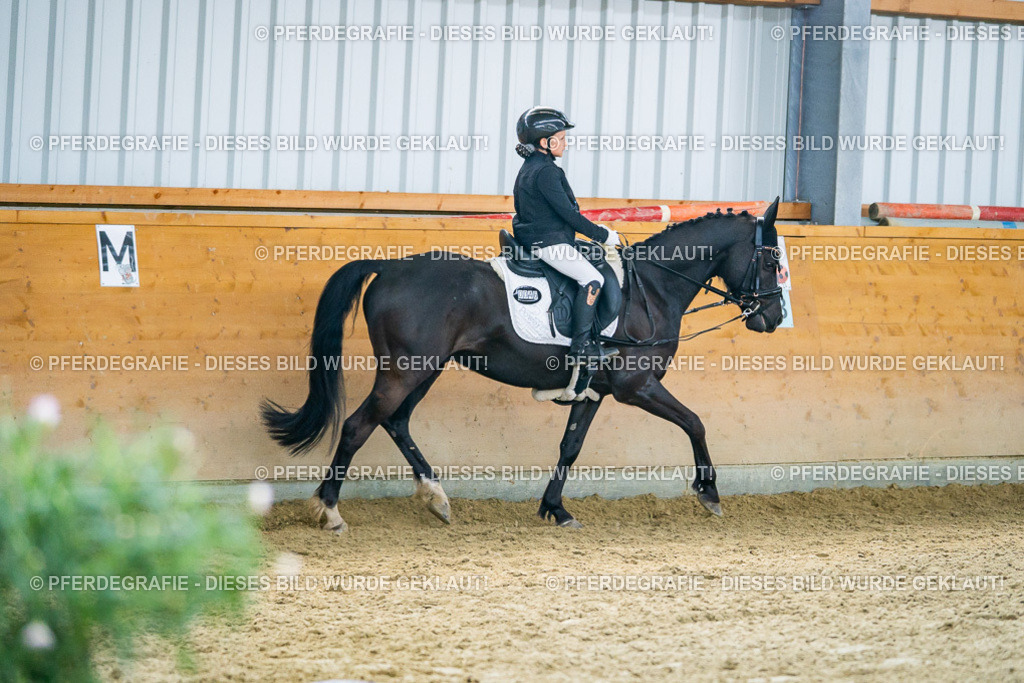 DSC04715 | Pferdegrafie