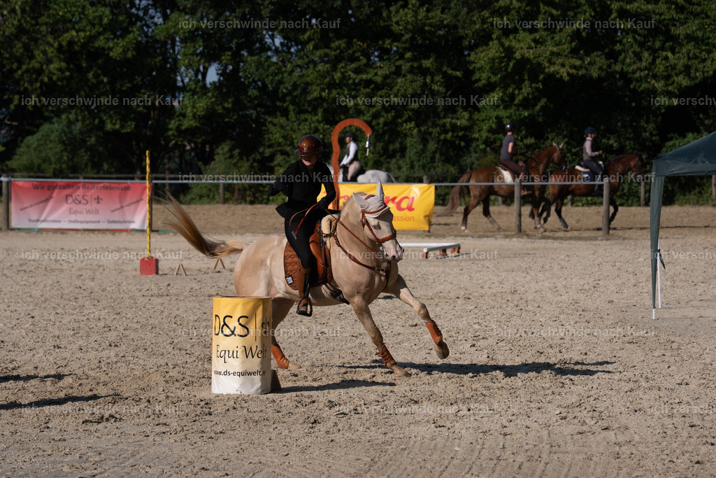 WS_SP_65_SinaFilmArt_IN09361 | working equitationturnier fotograf videograf stoibphotography marixx film working equitation deutschland reitsport turnierfotografie eventfotografie equestrian events