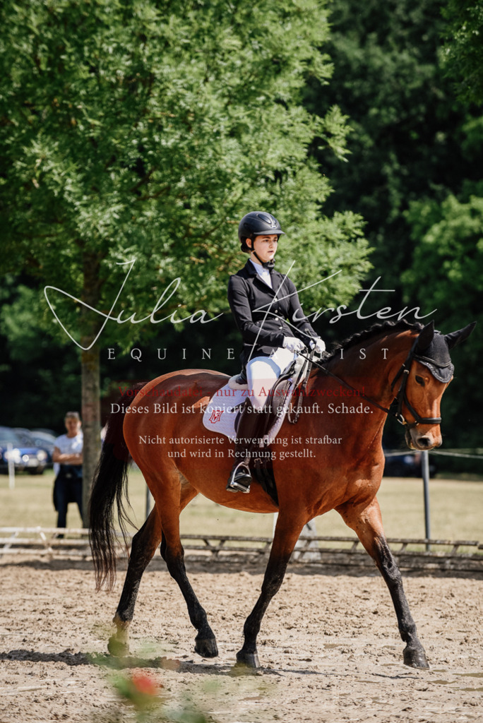DSC_0965 | Pferde- und Turnierfotografie in Westsachsen. Pferdeportraits, Auftragszeichnungen und intuitive Kunst.